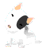 Avatar użytkownika